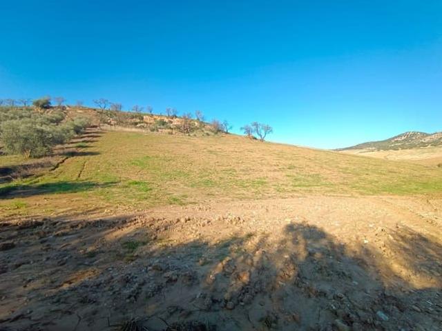 Terreno en venta en Casabermeja