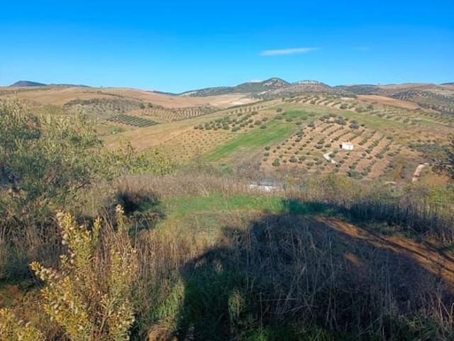 Terreno en venta en Casabermeja