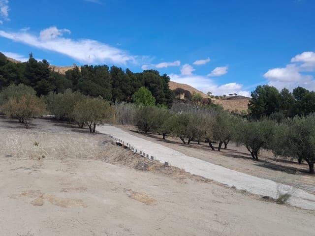 Terreno en venta en Sierra de las Nieves, Andalucía