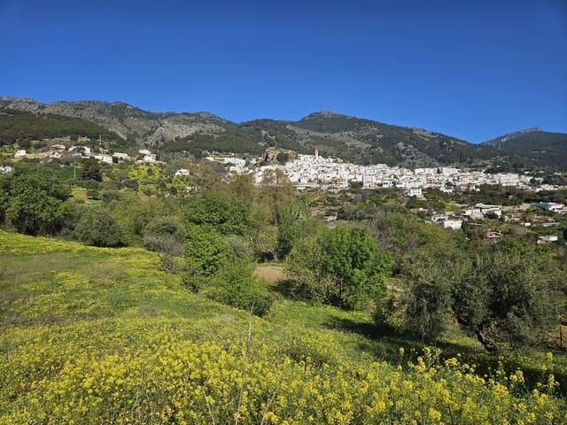 Terreno en venta en Sierra de las Nieves, Andalucía