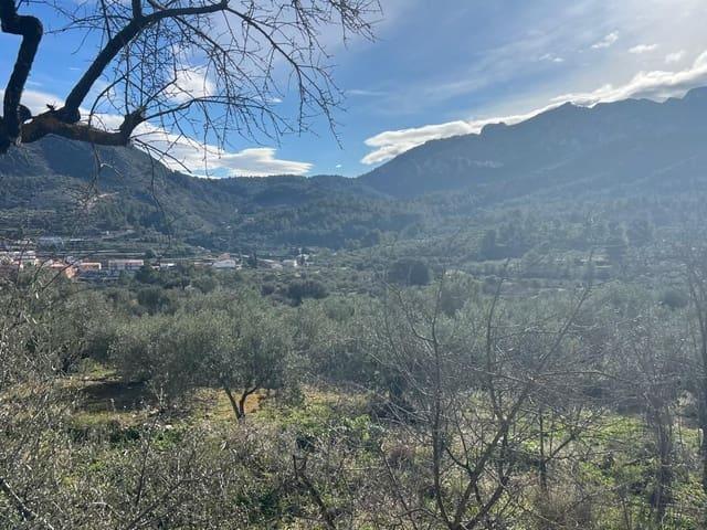 Terreno en venta en la Marina Alta, Valencia