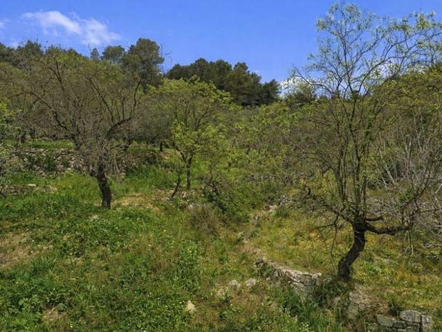 Terreno en venta en la Marina Alta, Valencia