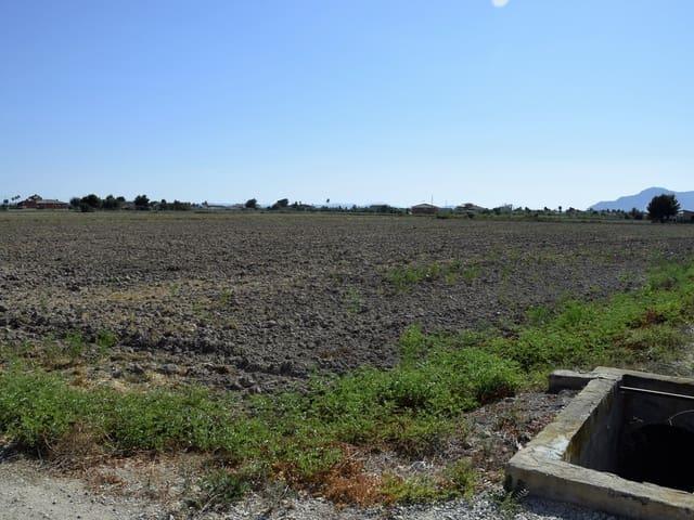 Terreno en venta en Catral