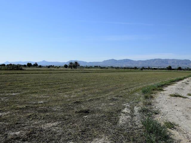 Terreno en venta en el Baix Segura / La Vega Baja, Valencia