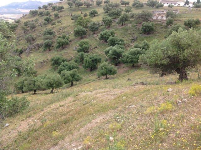 Terreno en venta en Guadalteba, Andalucía