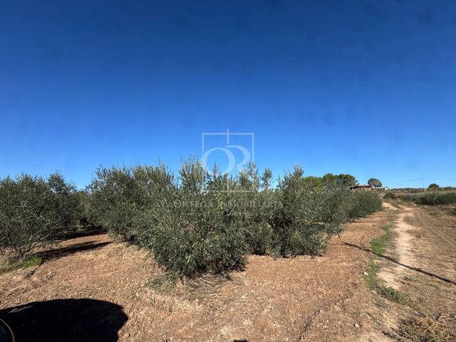 Terreno en venta en Campillo y Suertes, Cehegín