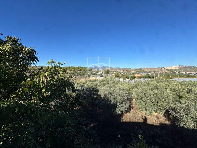 Terreno en venta en Campillo y Suertes, Cehegín