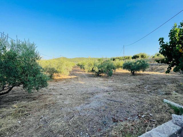Terreno en venta en Campillo y Suertes, Cehegín