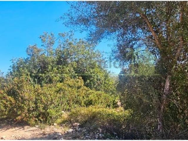 Terreno en venta en el Baix Maestrat, Valencia