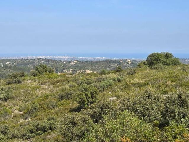 Terreno en venta en el Baix Maestrat, Valencia