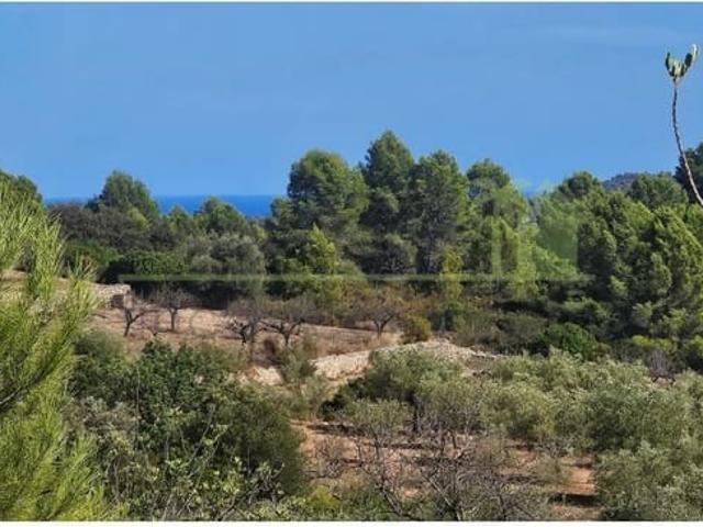 Terreno en venta en el Baix Maestrat, Valencia