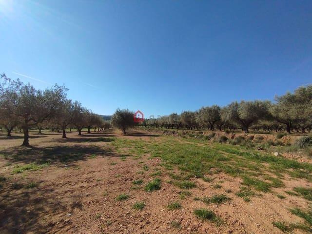 Terreno en venta en el Baix Maestrat, Valencia