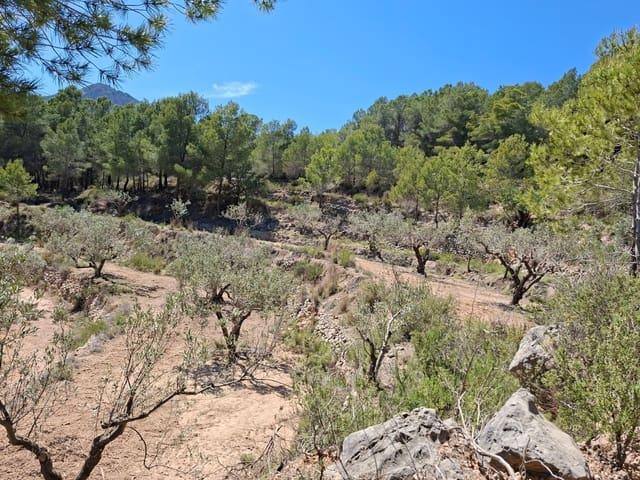 Terreno en venta en Xirles, la Marina Baixa