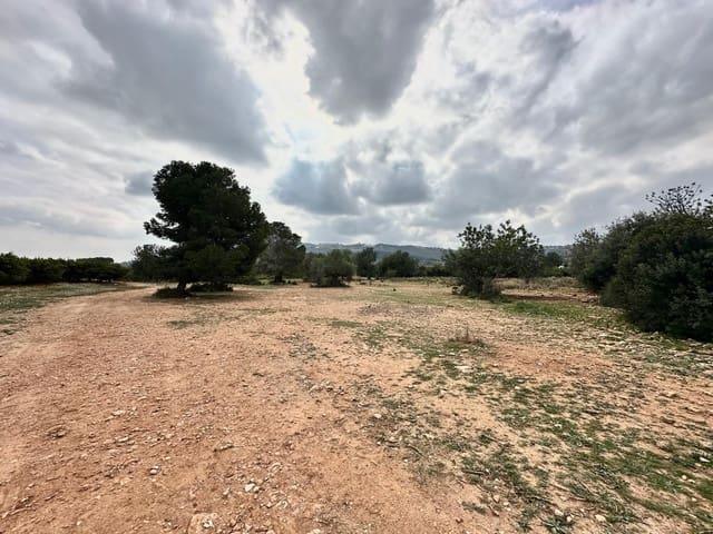 Terreno en venta en La Hoya de Buñol, Valencia