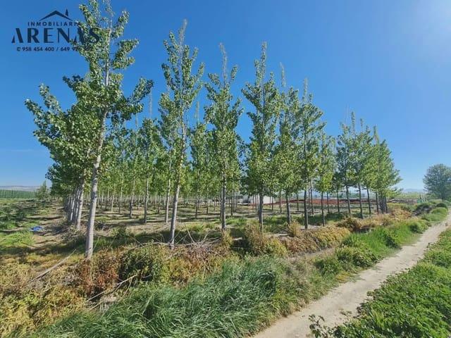 Terreno en venta en Comarca de la Vega de Granada, Andalucía