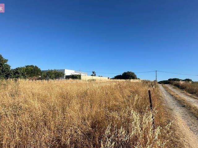 Terreno en venta en La Janda, Andalucía