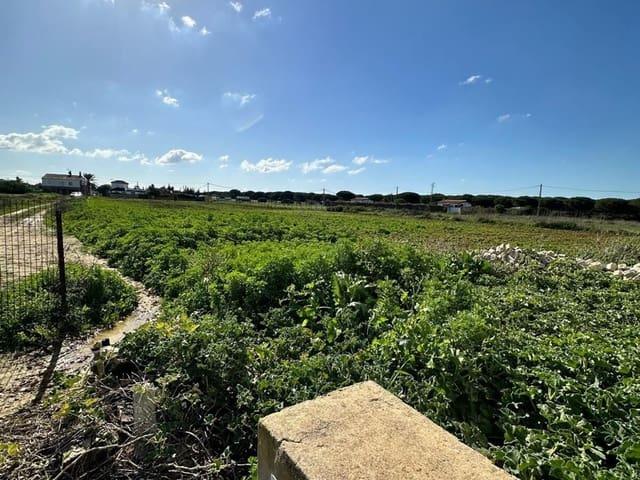 Terreno en venta en La Janda, Andalucía