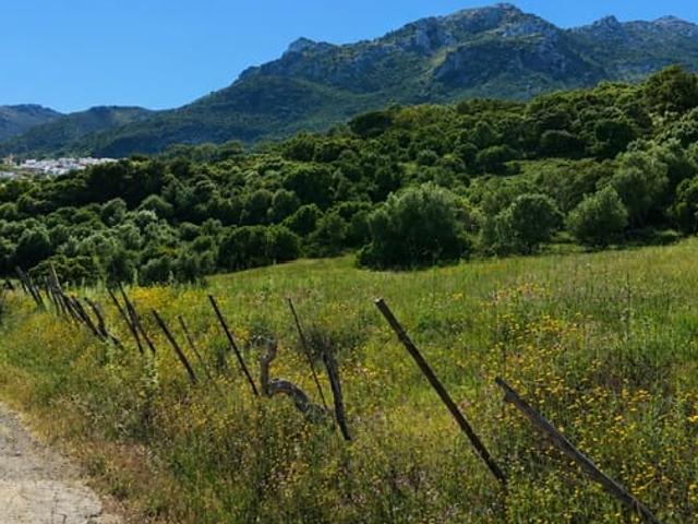 Terreno en venta en Cortes de la Frontera, Málaga