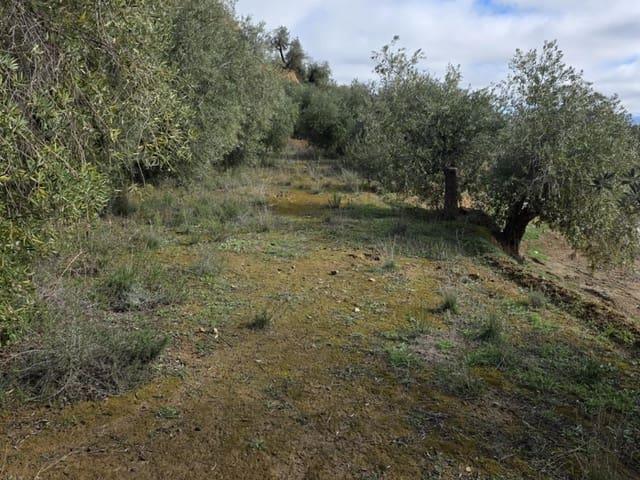Terreno en venta en Comarca de Guadix, Andalucía
