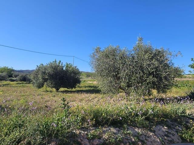 Terreno en venta en Corvera, Campo de Cartagena y Mar Menor