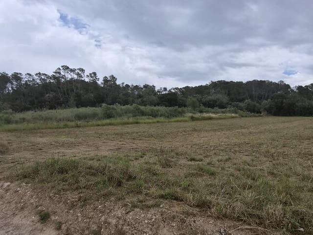Terreno en venta en Pla de Mallorca, Baleares