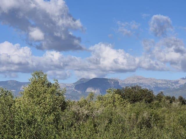Terreno en venta en Pla de Mallorca, Baleares