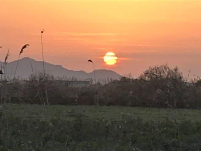 Terreno en venta en el Baix Vinalopó, Valencia