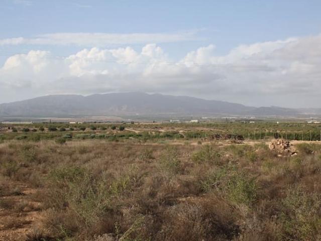 Terreno en venta en Cuevas de Reyllo, Fuente Álamo de Murcia