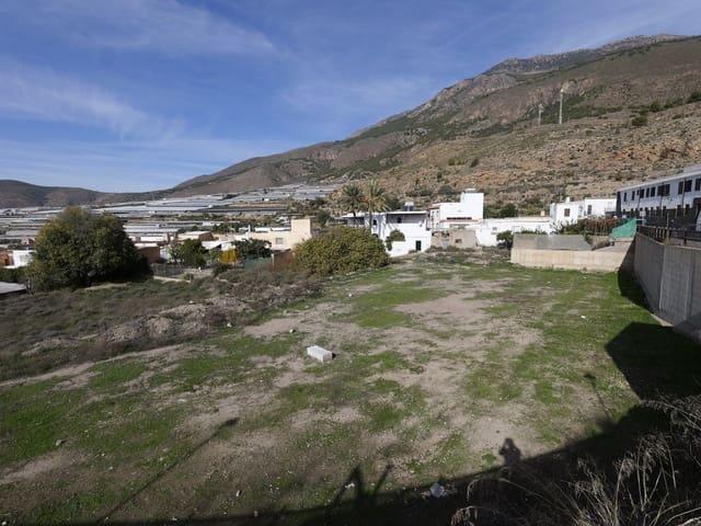 Terreno en venta en Dalías, Almería