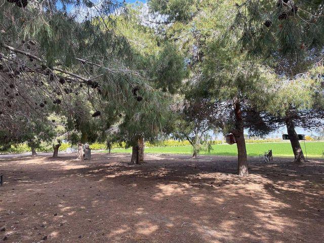 Terreno en venta en el Baix Segura / La Vega Baja, Valencia