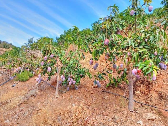 Terreno en venta en El Borge, Málaga
