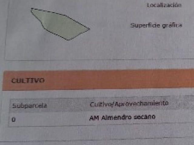 Terreno en venta en El Cantón, Oriental