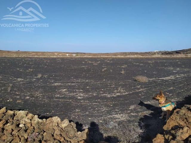 Terreno en venta en Tinajo, Canarias