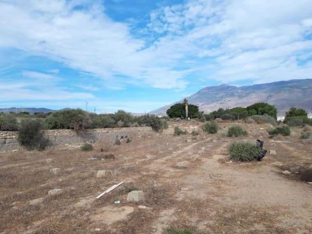 Terreno en venta en El Ejido, Andalucía