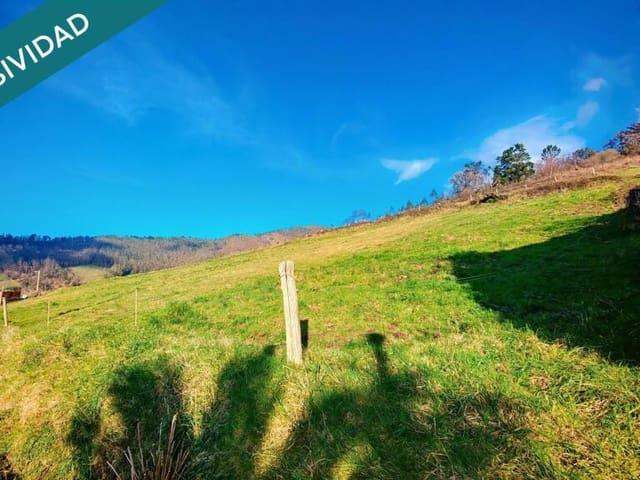 Terreno en venta en El Franco, El Franco