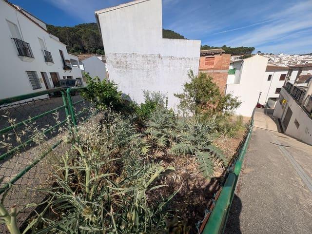 Terreno en venta en Sierra de Cádiz, Andalucía