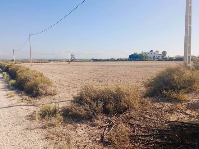 Terreno en venta en El Molar Terreno en venta en El Molar