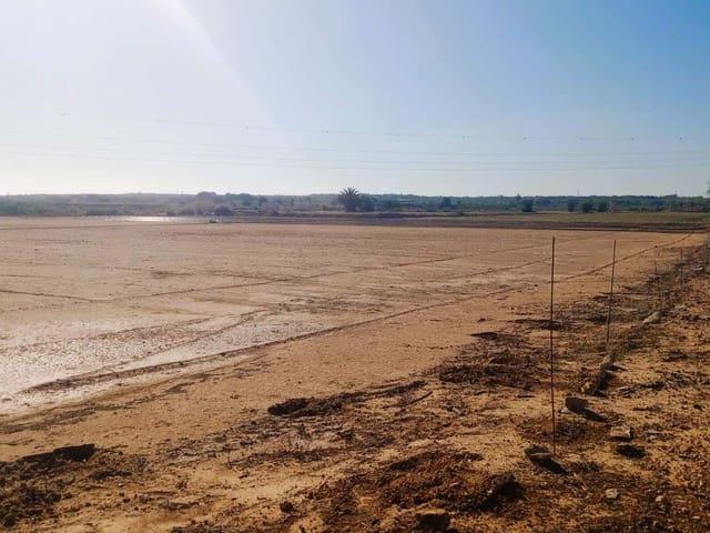 Terreno en venta en El Molar Terreno en venta en El Molar