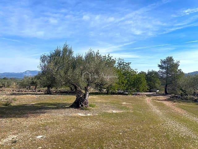 Terreno en venta en Baix Ebre, Catalunya