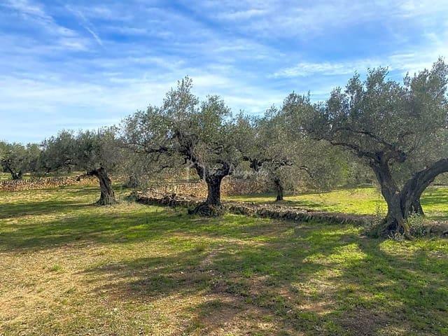Terreno en venta en Baix Ebre, Catalunya