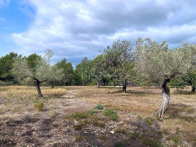 Terreno en venta en El Perelló