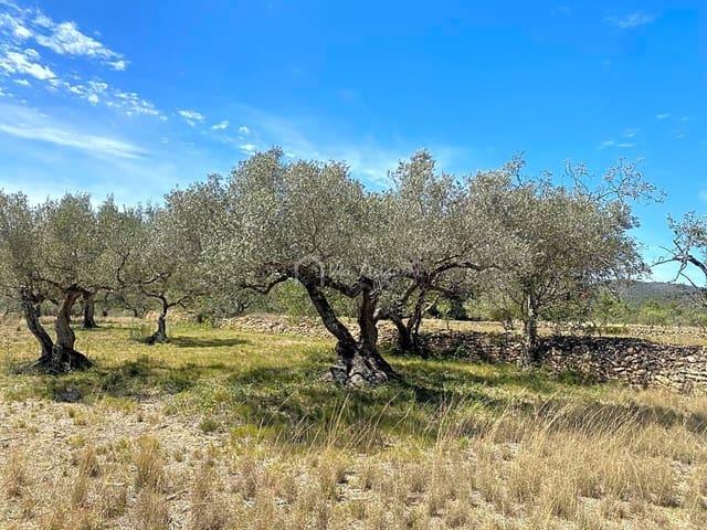 Terreno en venta en El Perelló