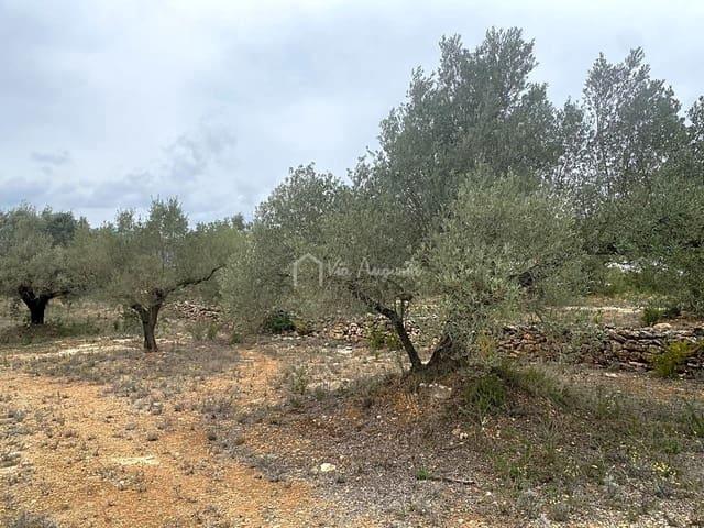Terreno en venta en El Perelló