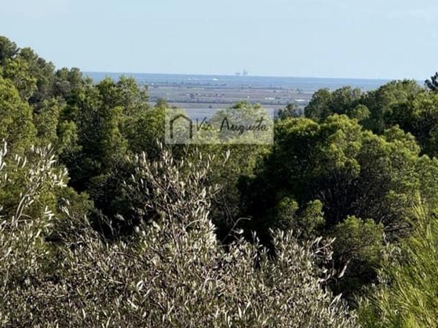 Terreno en venta en Baix Ebre, Catalunya