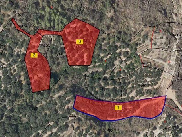 Terreno en venta en Ízbor, El Pinar
