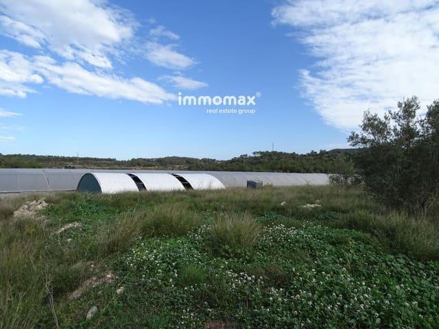 Terreno en venta en el Pinell de Brai, Tarragona