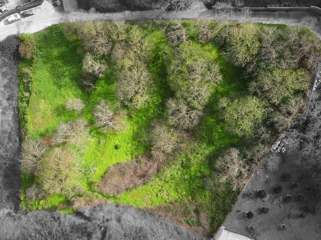 Terreno en venta en Los Panascos, El Rosario