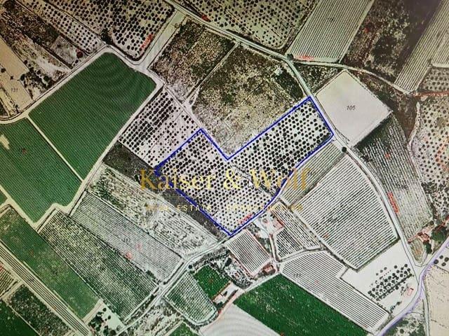Terreno en venta en Elche, el Raval de Santa Teresa