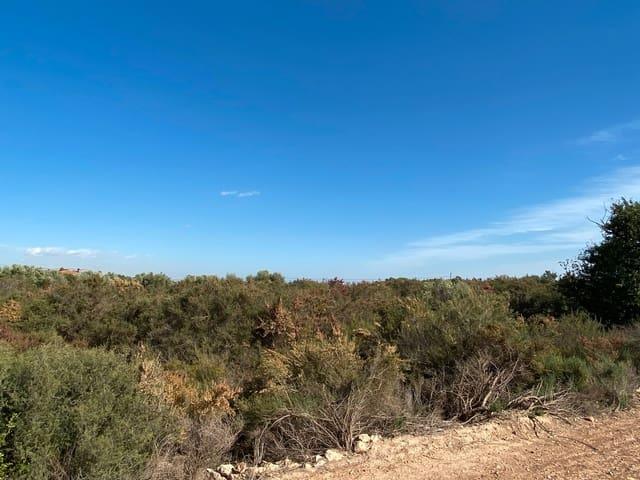 Terreno en venta en Elche, el Raval de Santa Teresa