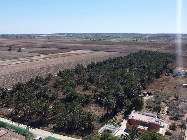 Terreno en venta en Elche, el Raval de Santa Teresa